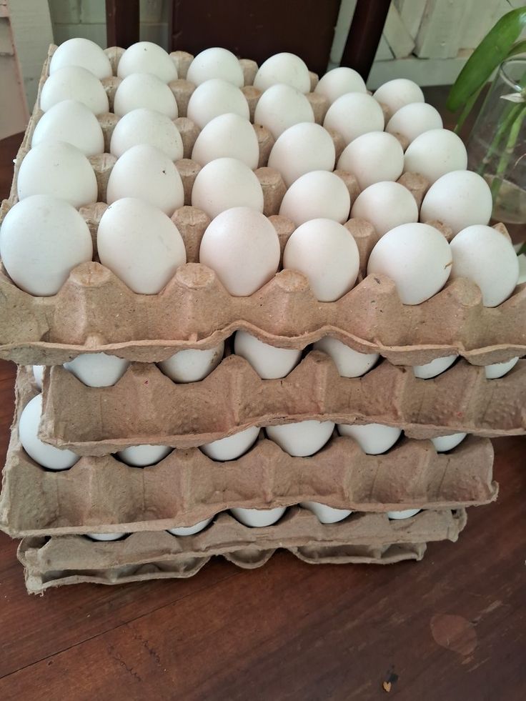 improve egg kienyeji