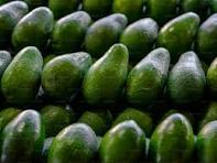 avocado