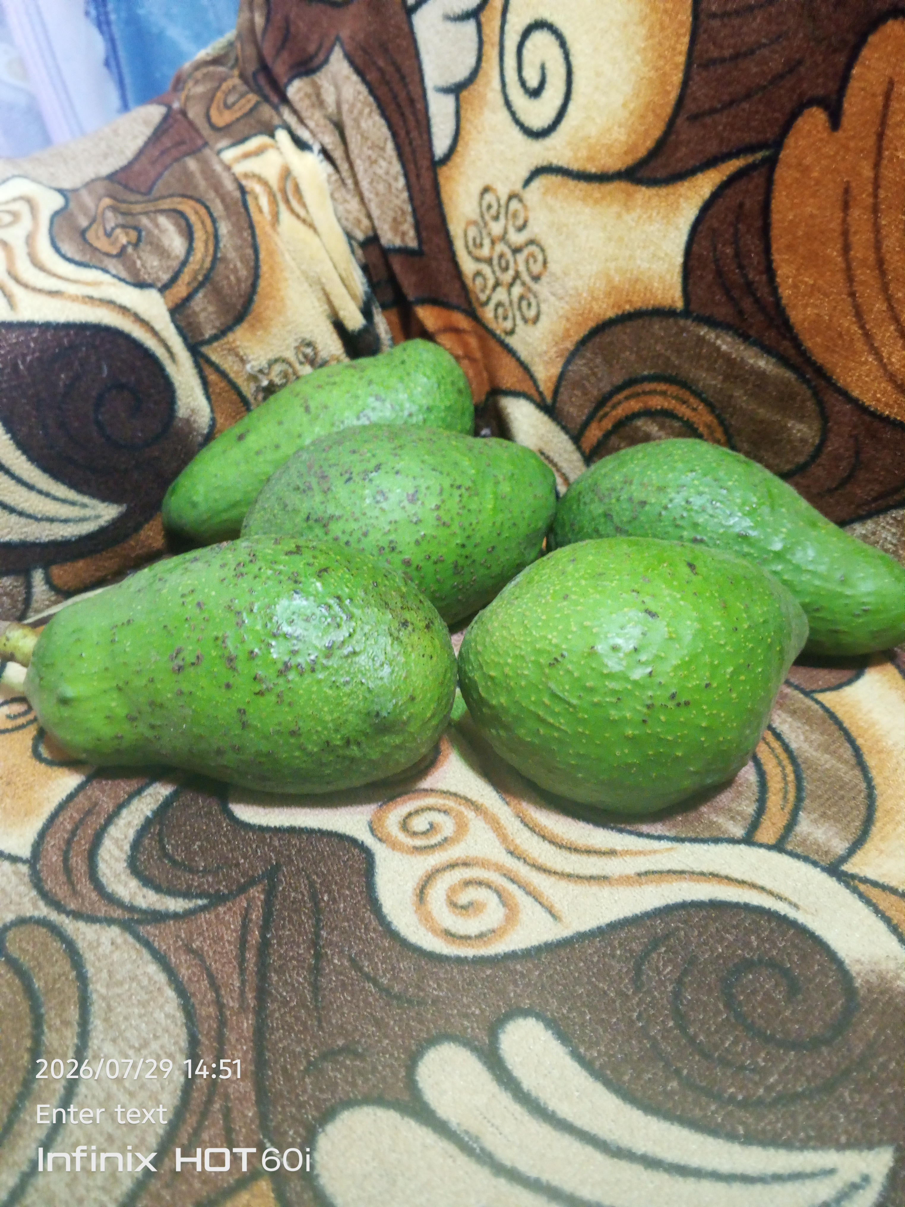 Avocado