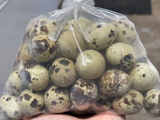 Quail eggs