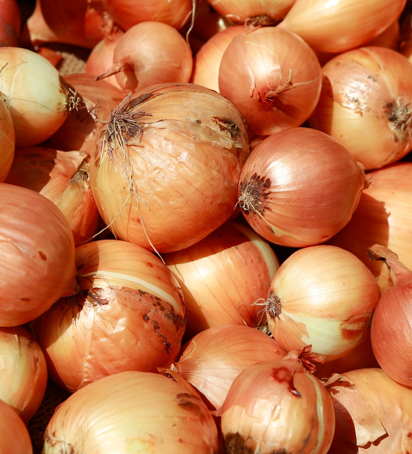 White Onions