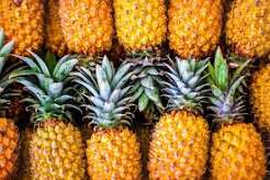 pineapples