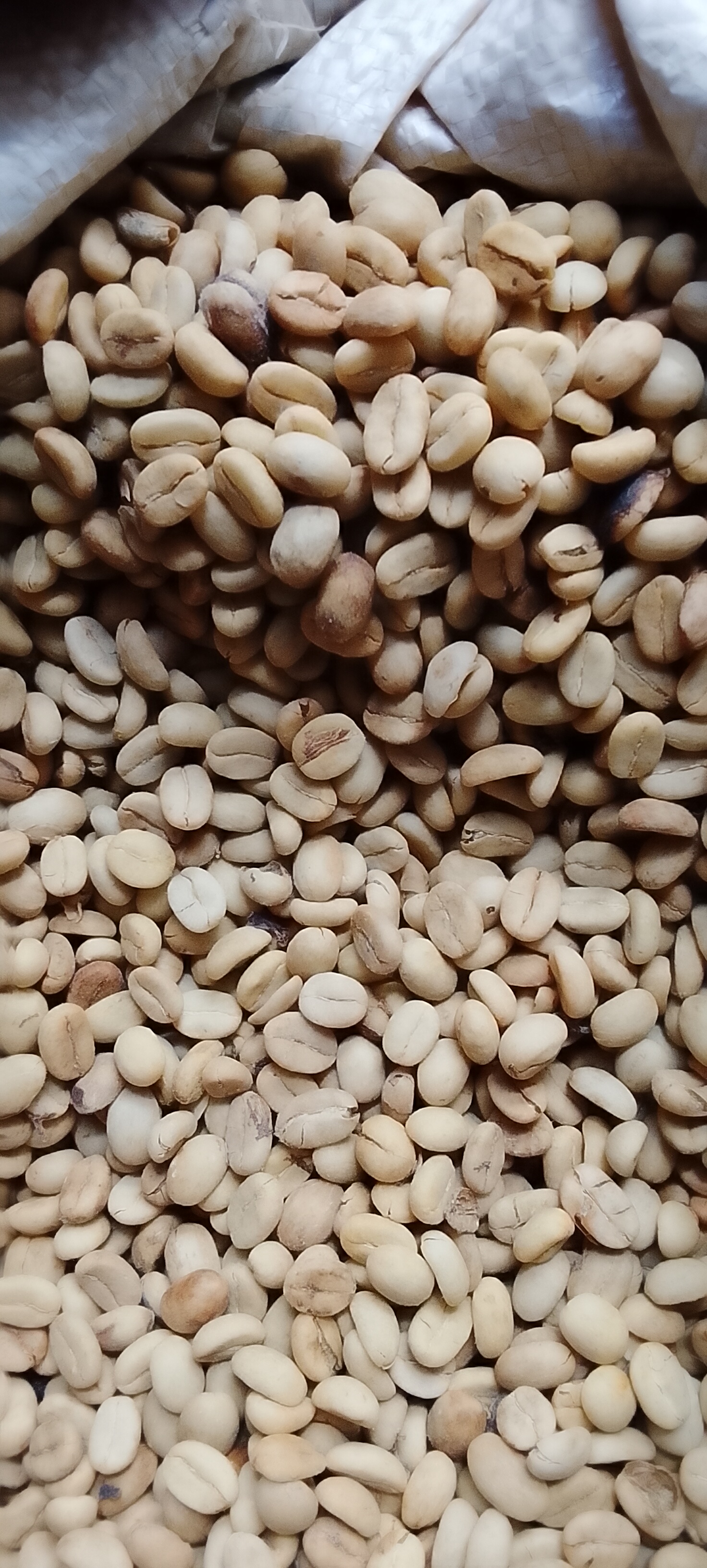 Parchment coffee