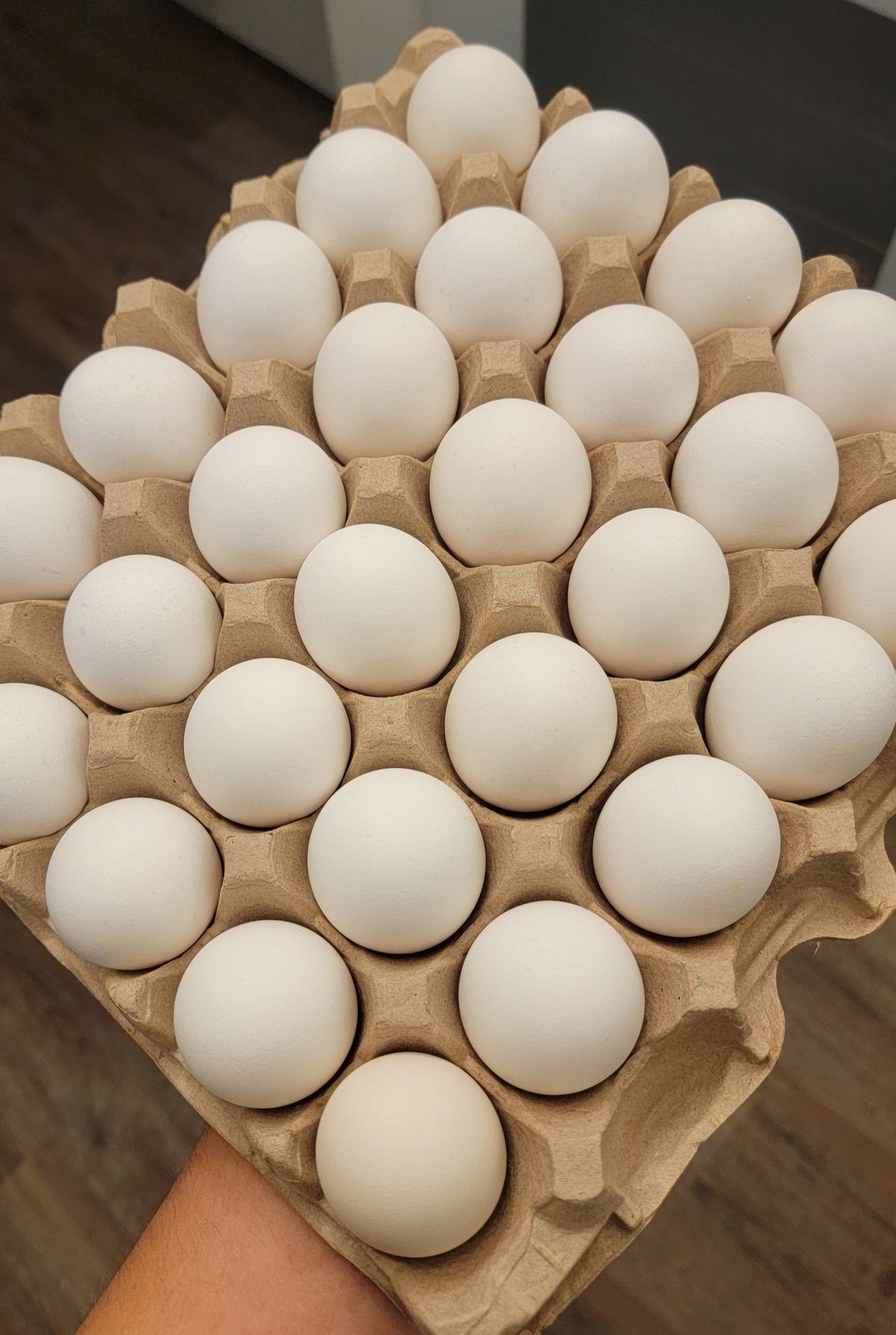 improve egg kienyeji