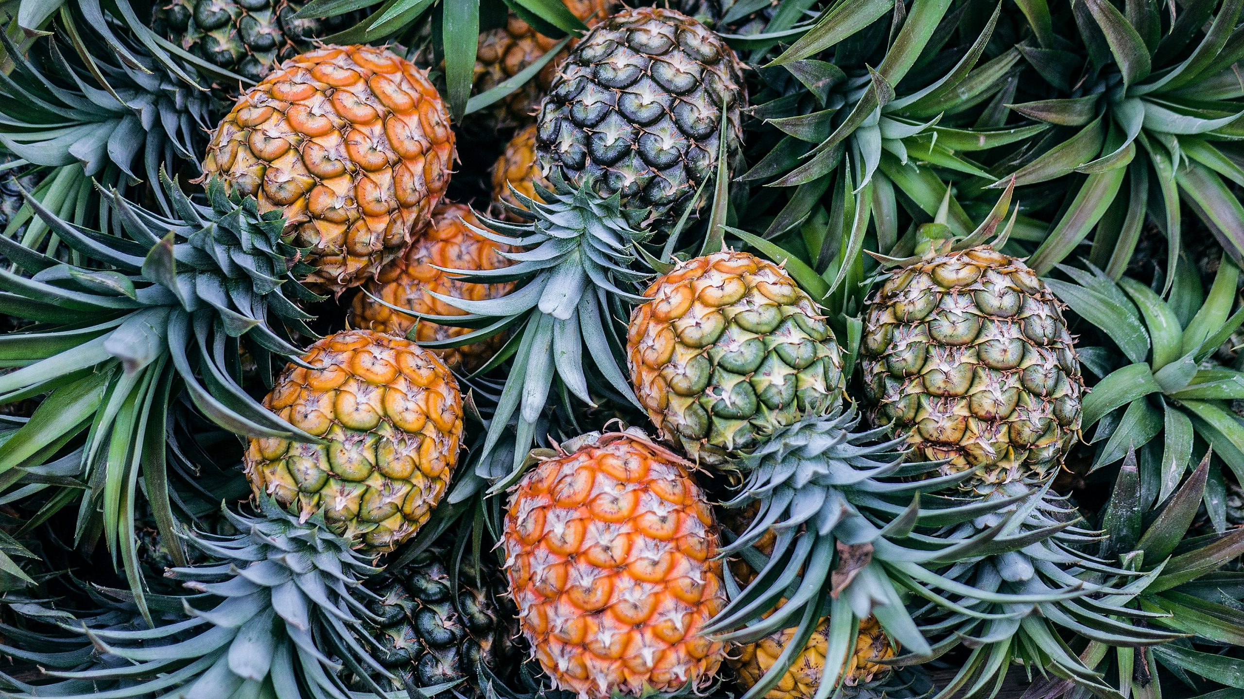 Quality Farm Produce